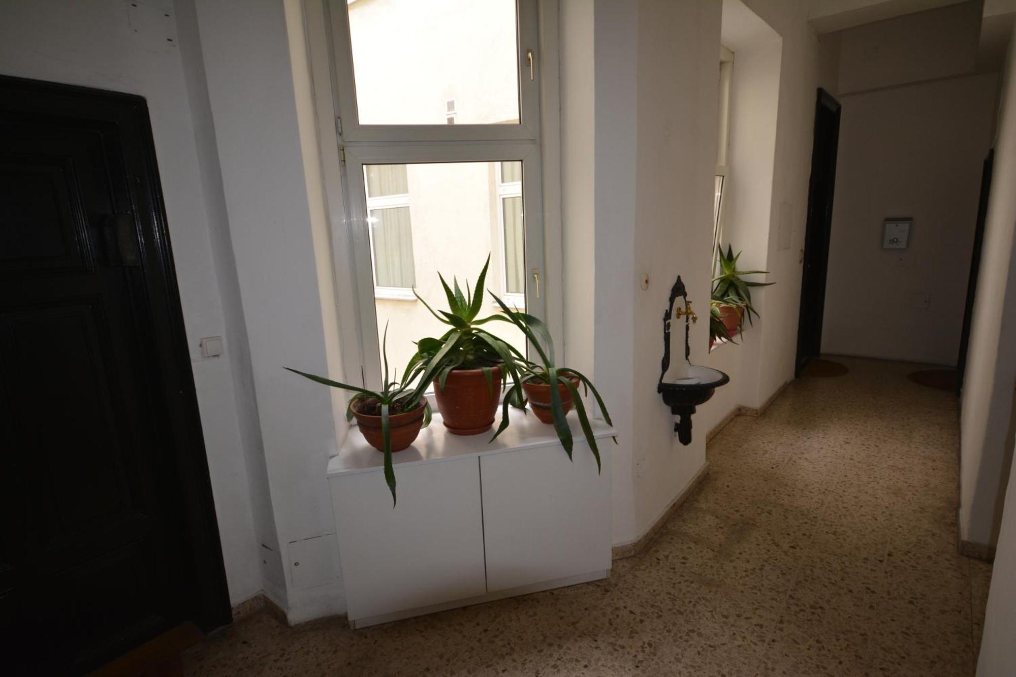 Vienna Holiday Apartments Extérieur photo